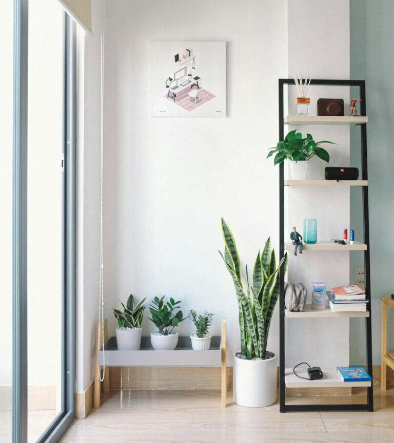 The Art of Organizing Home Decor
